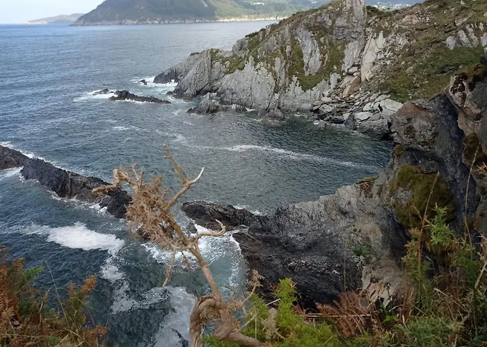 Duerming Family Viveiro 4 Rooms